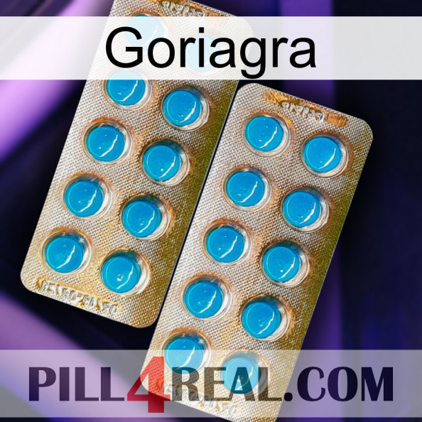 Goriagra new08.jpg